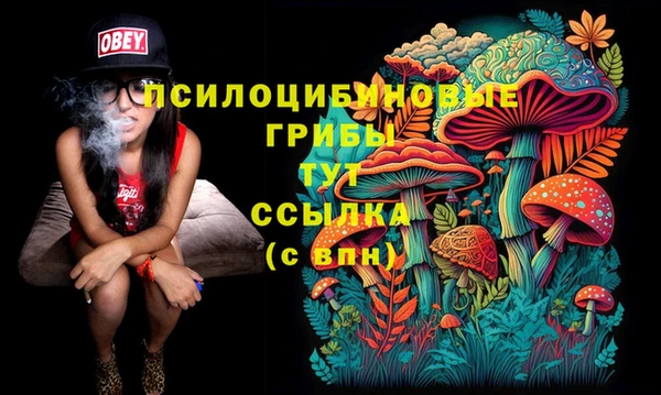 ПСИЛОЦИБИНОВЫЕ ГРИБЫ Алзамай