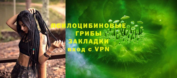 ПСИЛОЦИБИНОВЫЕ ГРИБЫ Алзамай